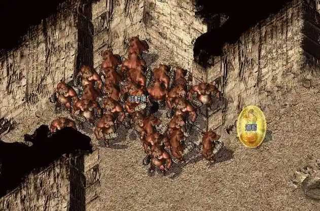 猪洞二层刷黑野猪合作雷电术和魔法盾可